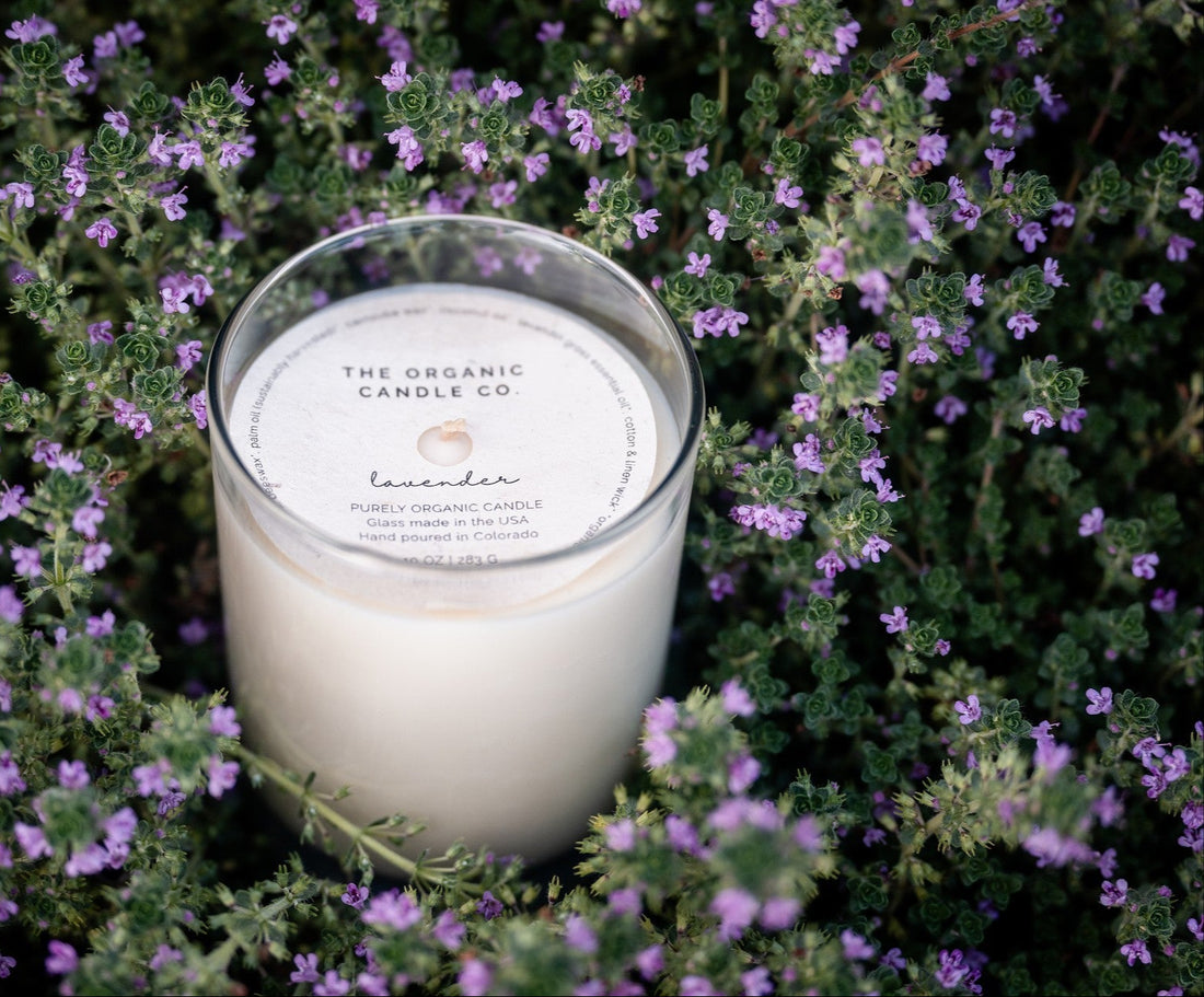 Candle from The Organic Candle Co. on a bed of purple flowers