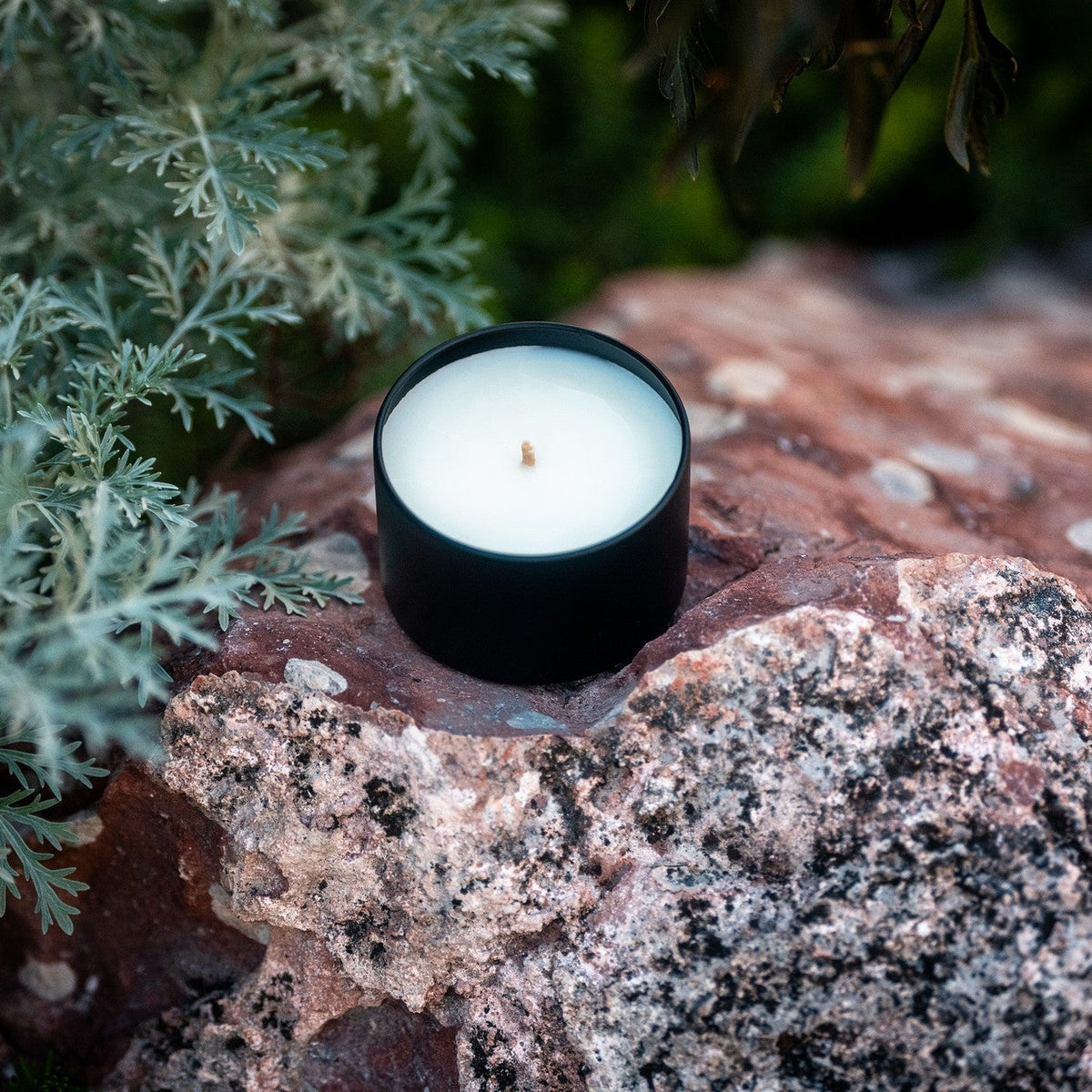 Organic candle in a black container on a rock with greenery in the background