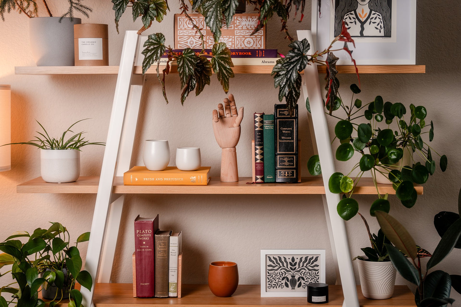 Bookshelf with books, plants, an assortment of organic candles and decorative items in a cozy room setting.