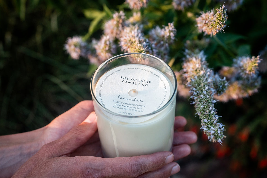 Classic Organic Candle – 10oz