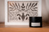 Black candle labeled &