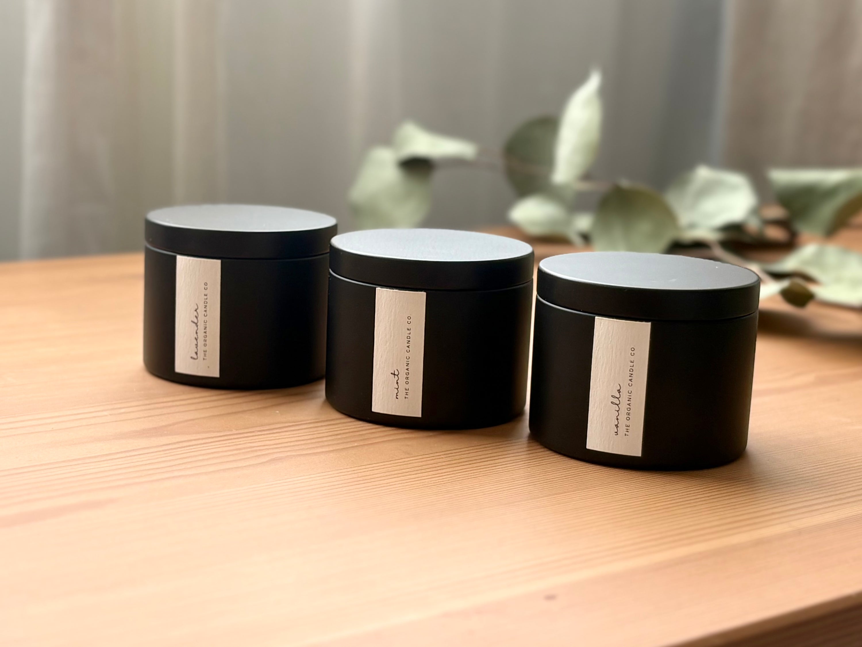 Traveler Organic Candle Trio